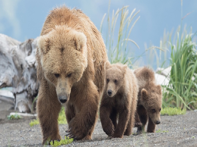 陈女士成功案例